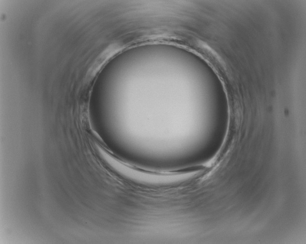 X0000071951361200607281958