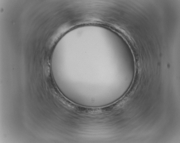 X0000071951363200607281958