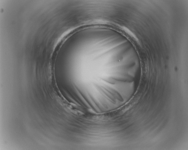 X0000071951364200607281958