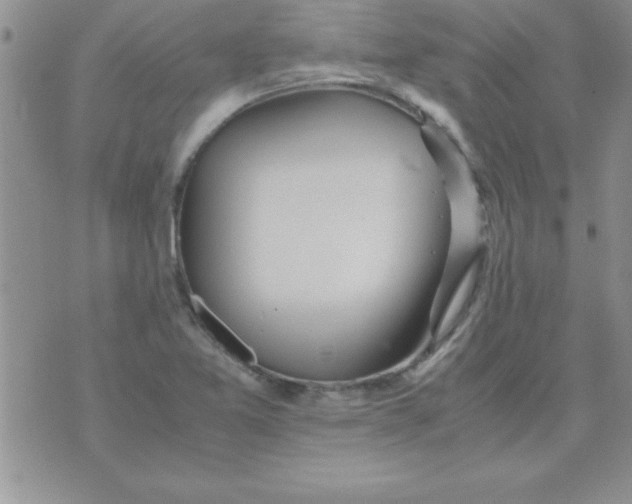 X0000071951365200607281958