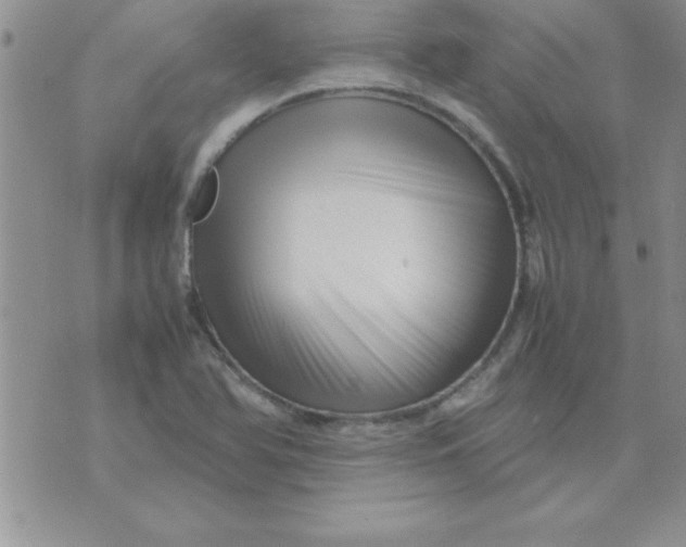 X0000071951366200607281958