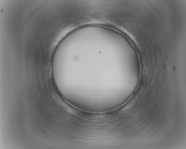 X0000071951367200607281958