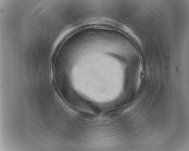 X0000071951368200607281958