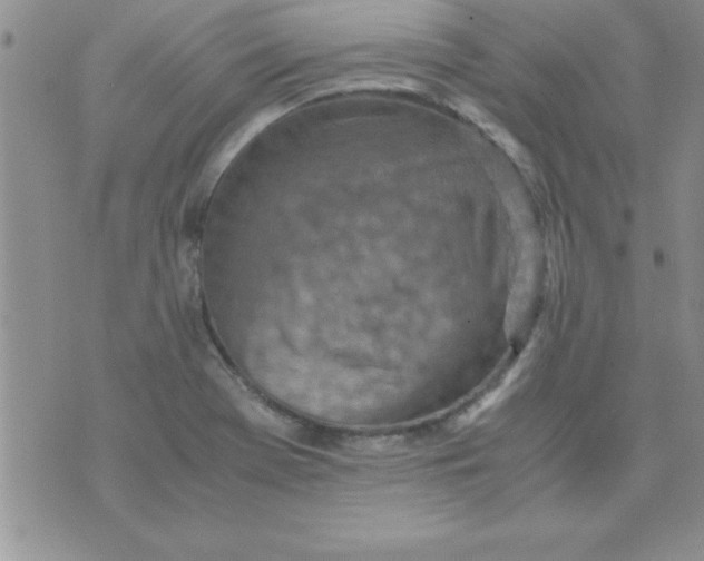 X0000071951369200607281958