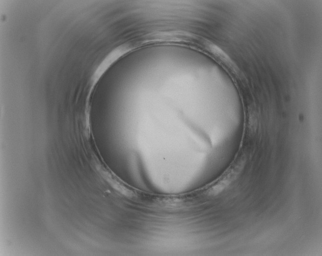 X0000071951370200607281958