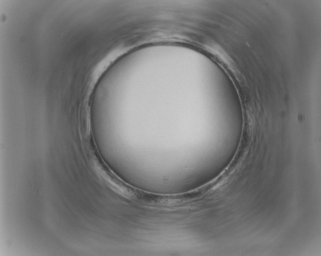 X0000071951371200607281958