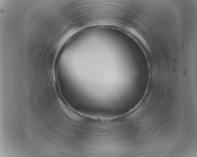 X0000071951372200607281958