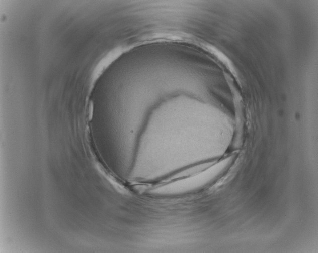 X0000071951373200607281958