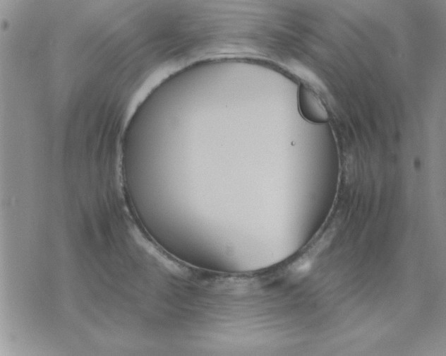 X0000071951374200607281957