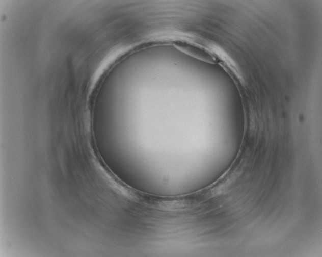 X0000071951376200607281957