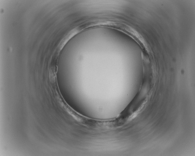 X0000071951377200607281957