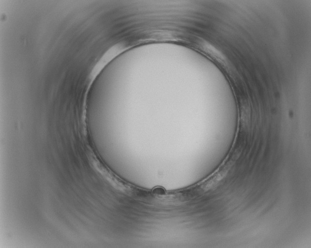 X0000071951378200607281957