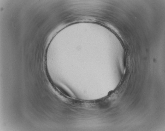 X0000071951379200607281957