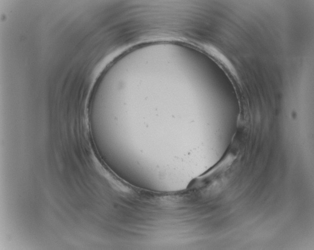 X0000071951380200607281957