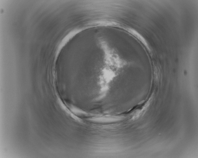 X0000071951381200607281957