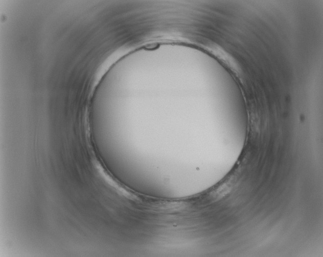 X0000071951382200607281957