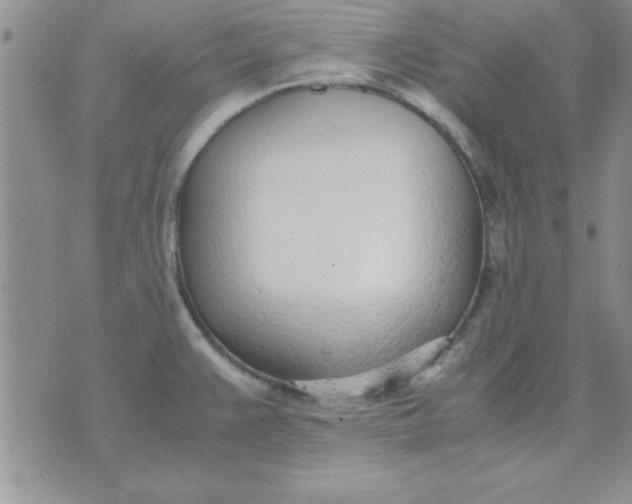 X0000071951383200607281957