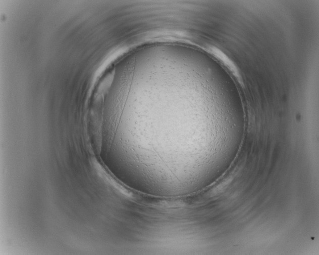 X0000071951384200607281957