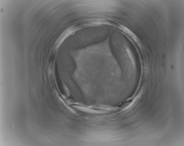 X0000071951385200607281957