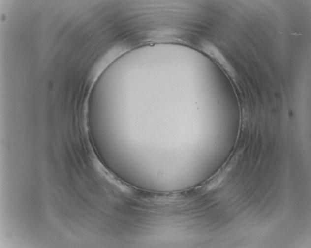 X0000071951386200607281957