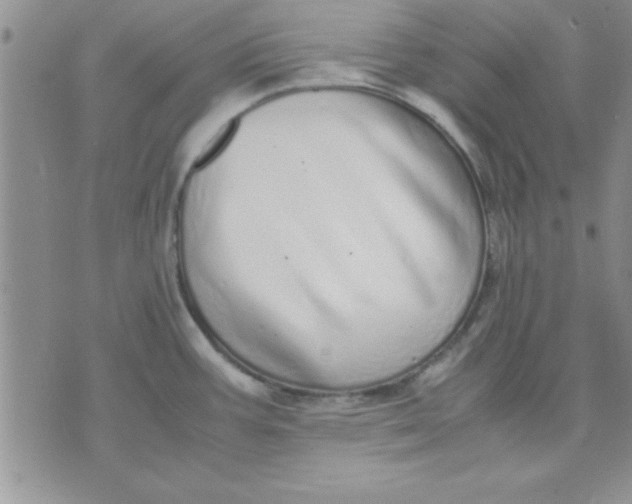 X0000071951387200607281957