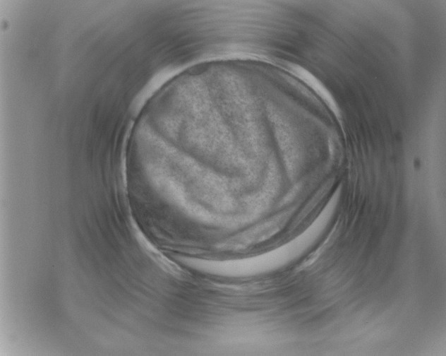 X0000071951388200607281957