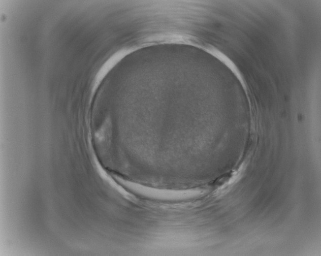 X0000071951389200607281957