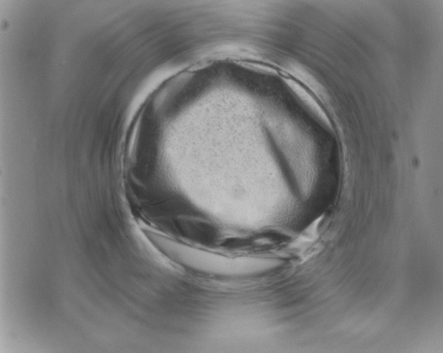 X0000071951392200607281957