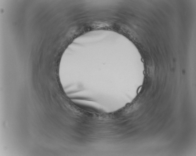 X0000071951393200607281956