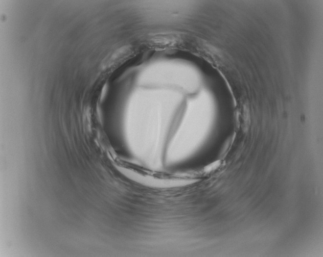 X0000071951394200607281956