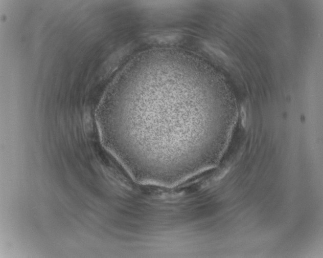 X0000071951395200607281956