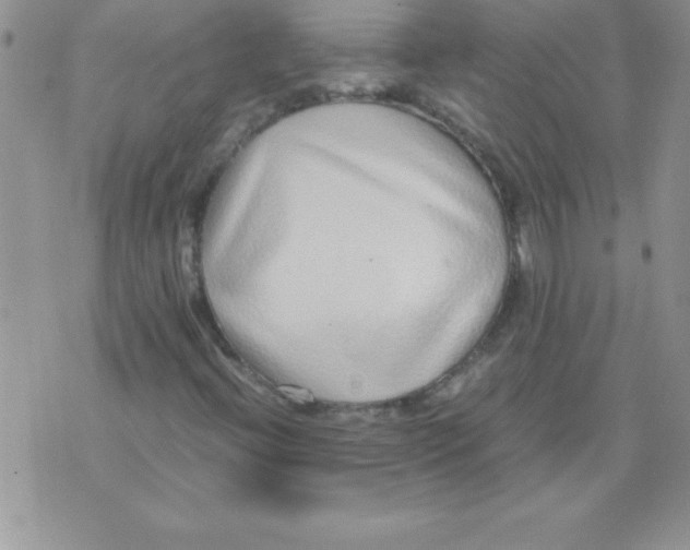 X0000071951396200607281956