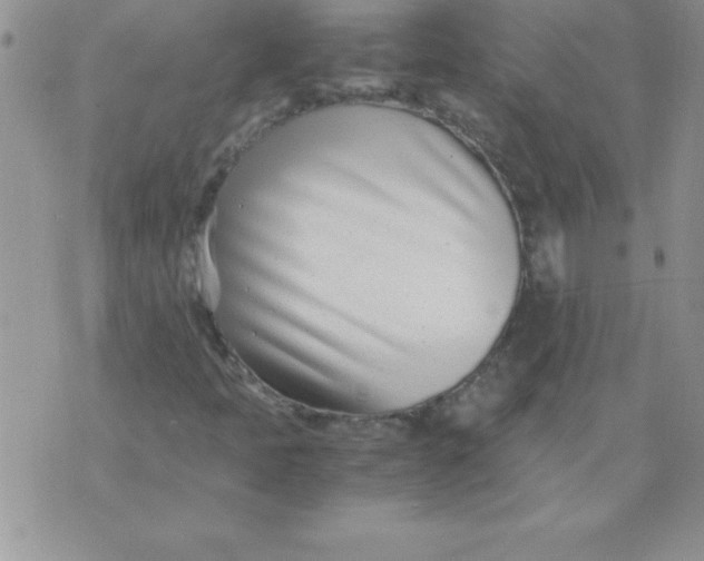 X0000071951397200607281956