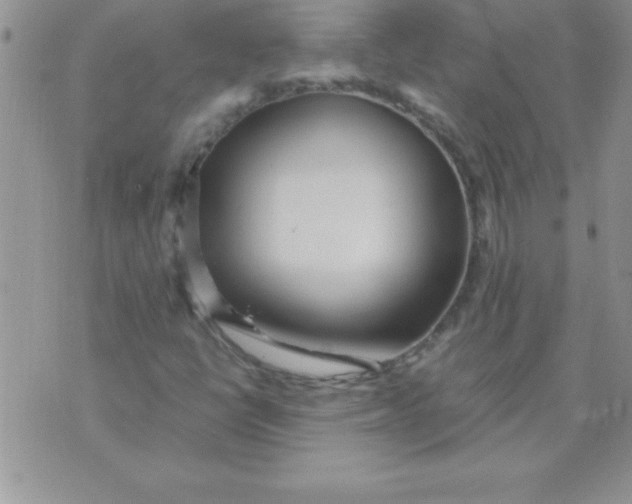 X0000071951398200607281957