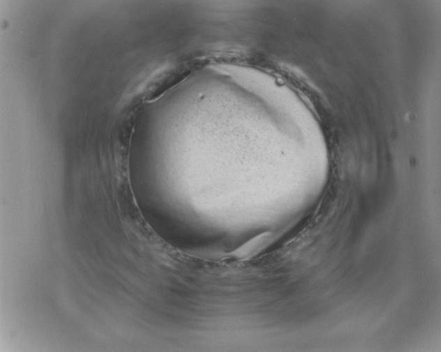 X0000071951399200607281957