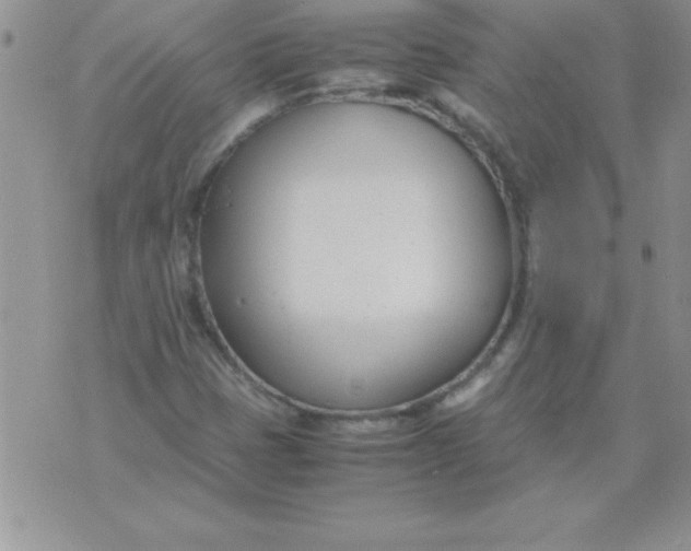 X0000071951401200607281957