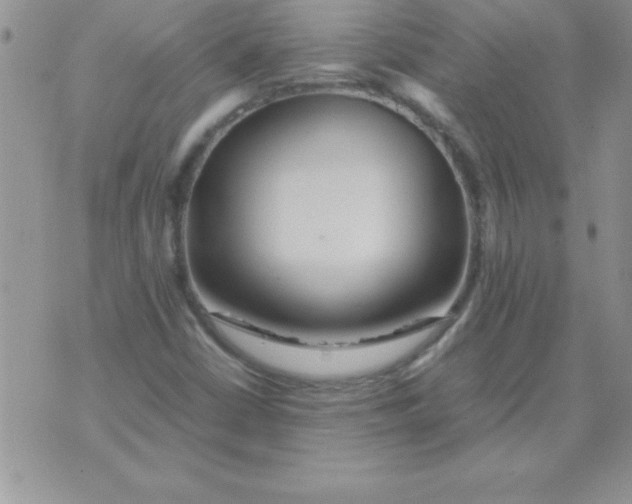 X0000071951402200607281957