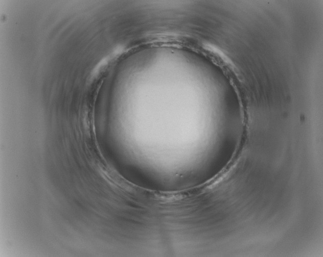 X0000071951403200607281957