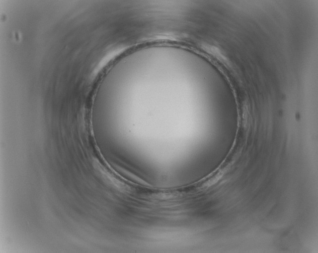 X0000071951404200607281957