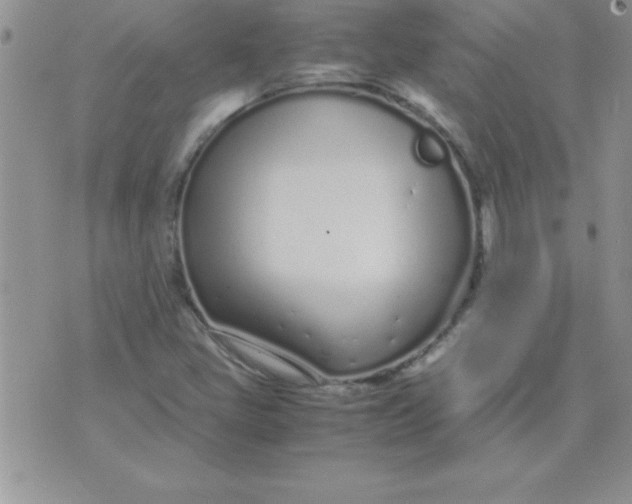 X0000071951405200607281957