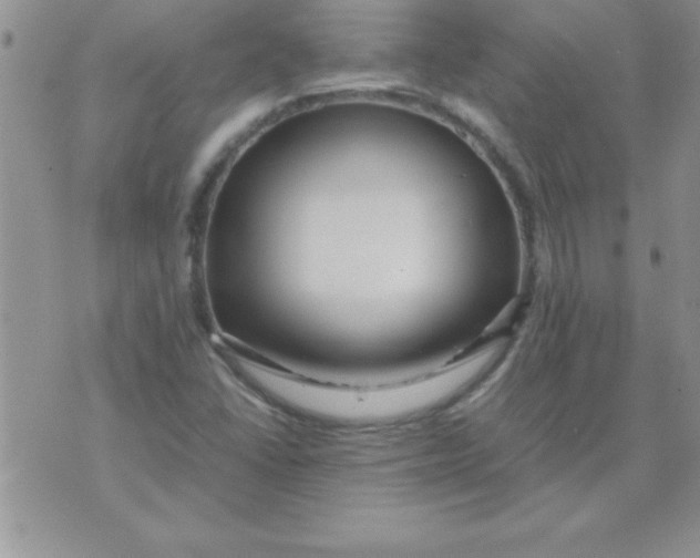 X0000071951406200607281957