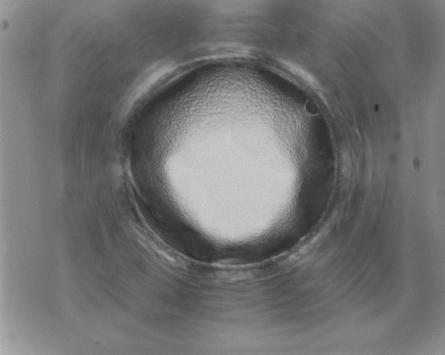 X0000071951407200607281957