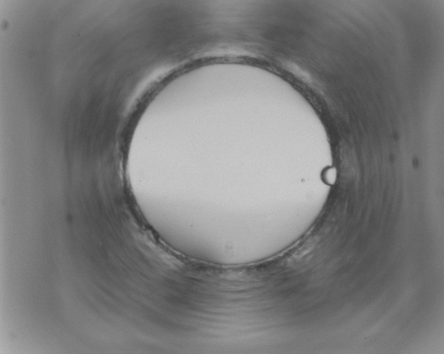 X0000071951408200607281957