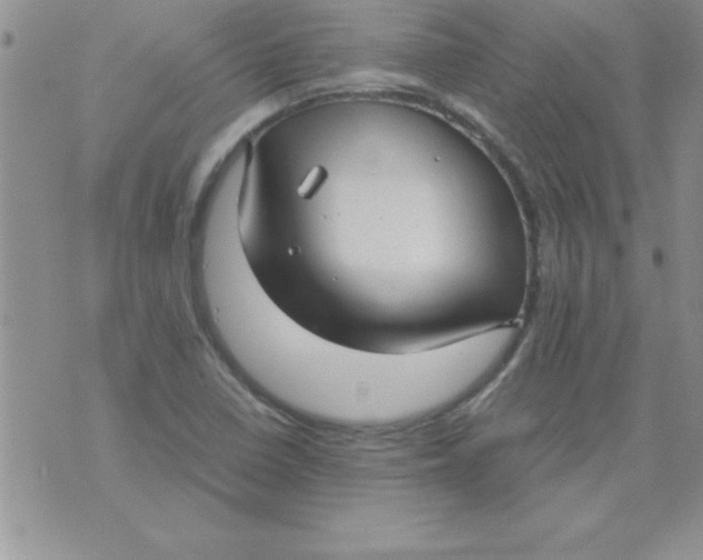 X0000071951410200607281957