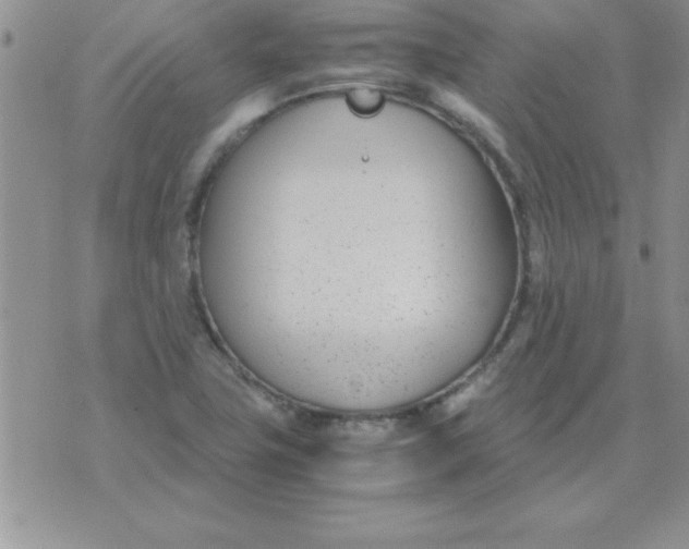 X0000071951411200607281957