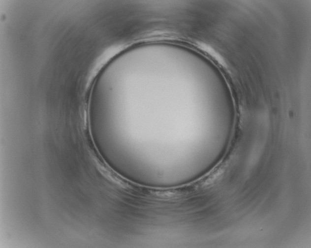 X0000071951413200607281957