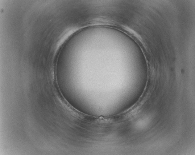 X0000071951415200607281957