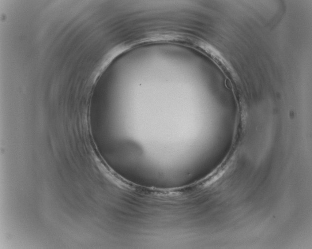 X0000071951417200607281957