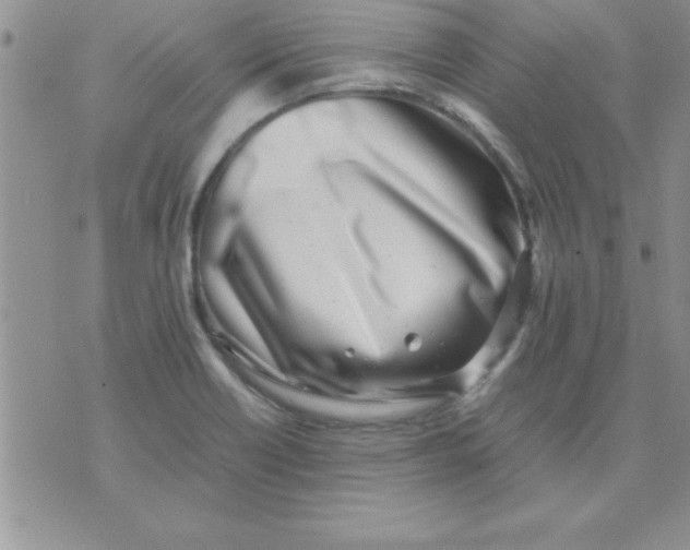 X0000071951418200607281957