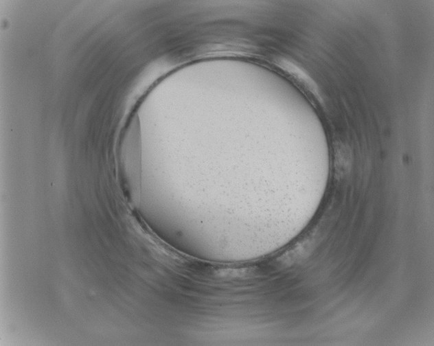 X0000071951419200607281957